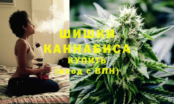 скорость Ельня