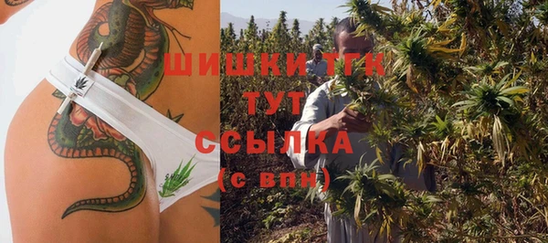 скорость Ельня