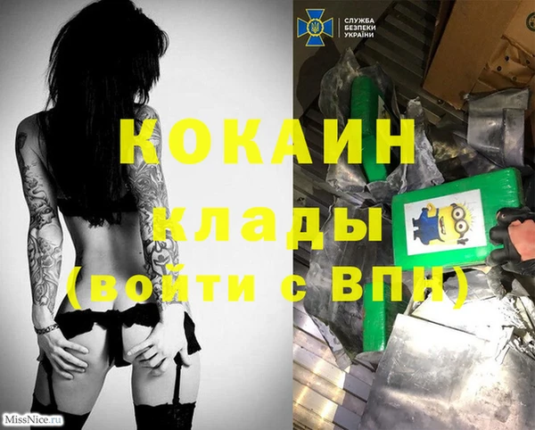 скорость Ельня