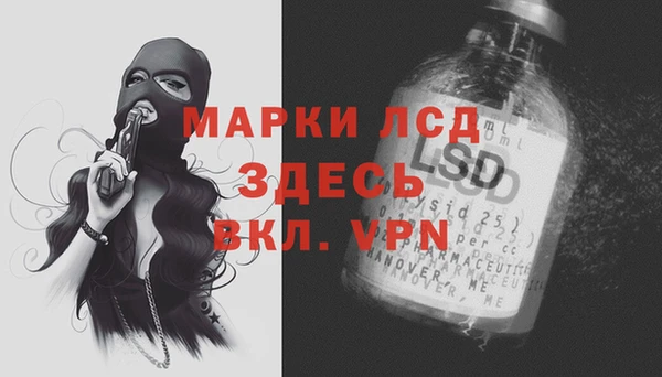 скорость Ельня