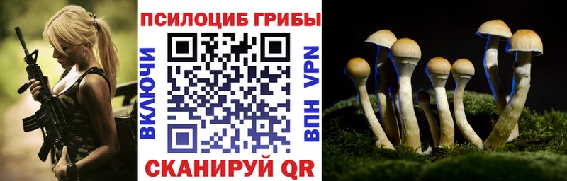 ОМГ ОМГ tor  Таганрог  Псилоцибиновые грибы Psilocybine cubensis 
